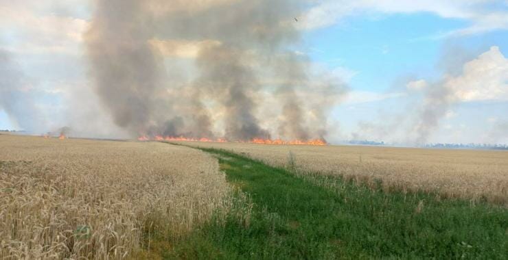 Wheat fields in the community, set on fire by the Russian occupying forces