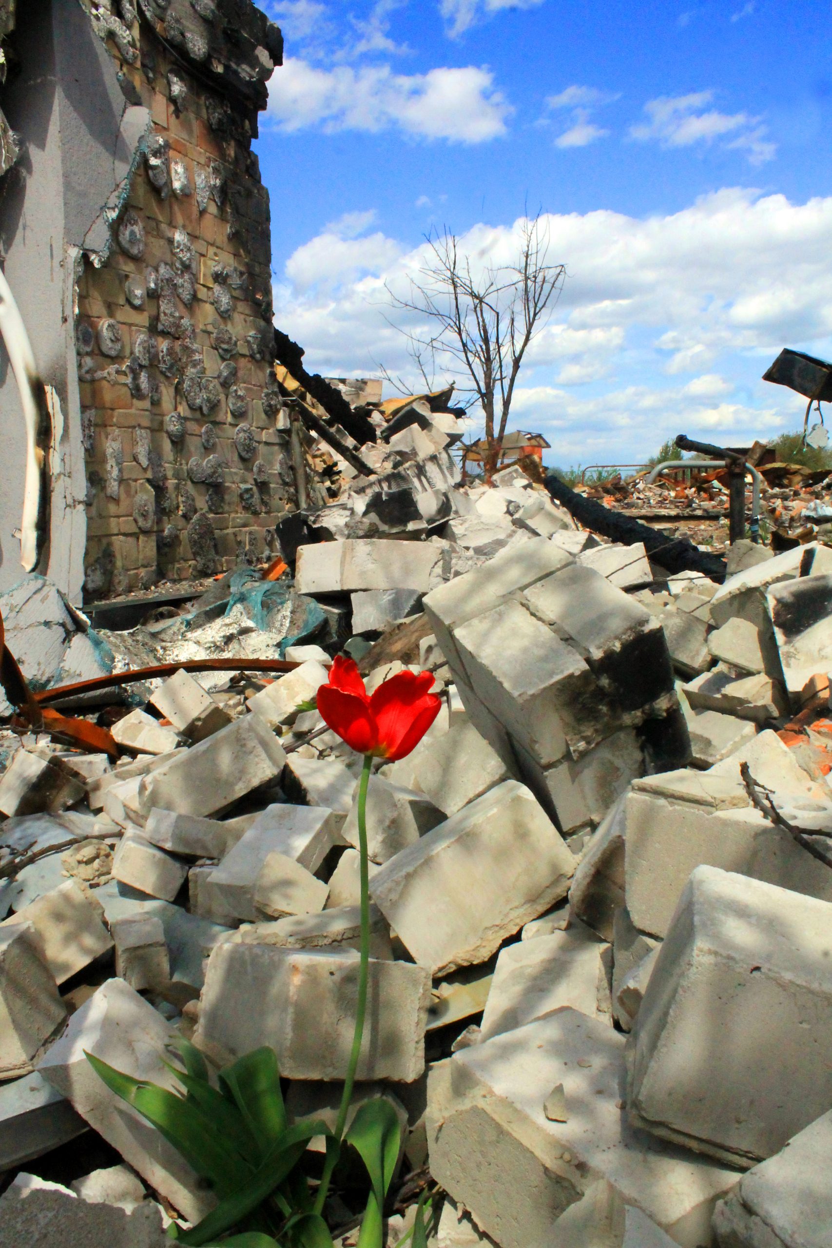 Destroyed residential building in the settlement of Velyka Dymerka