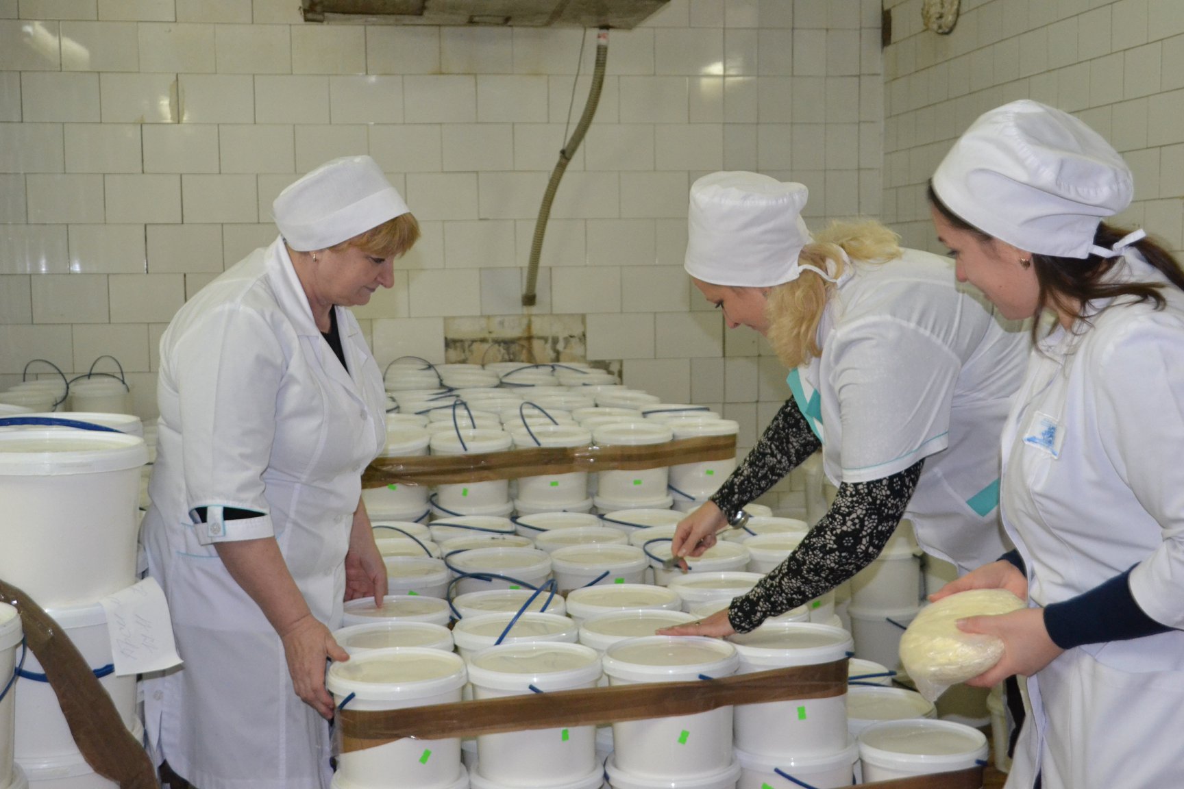 Cheese making workshop of Valky Dairy