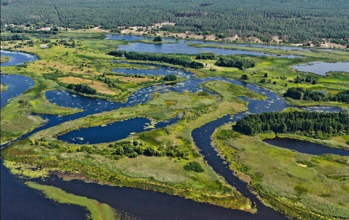 Regional landscape park “Kremenchuk Reed Beds” 