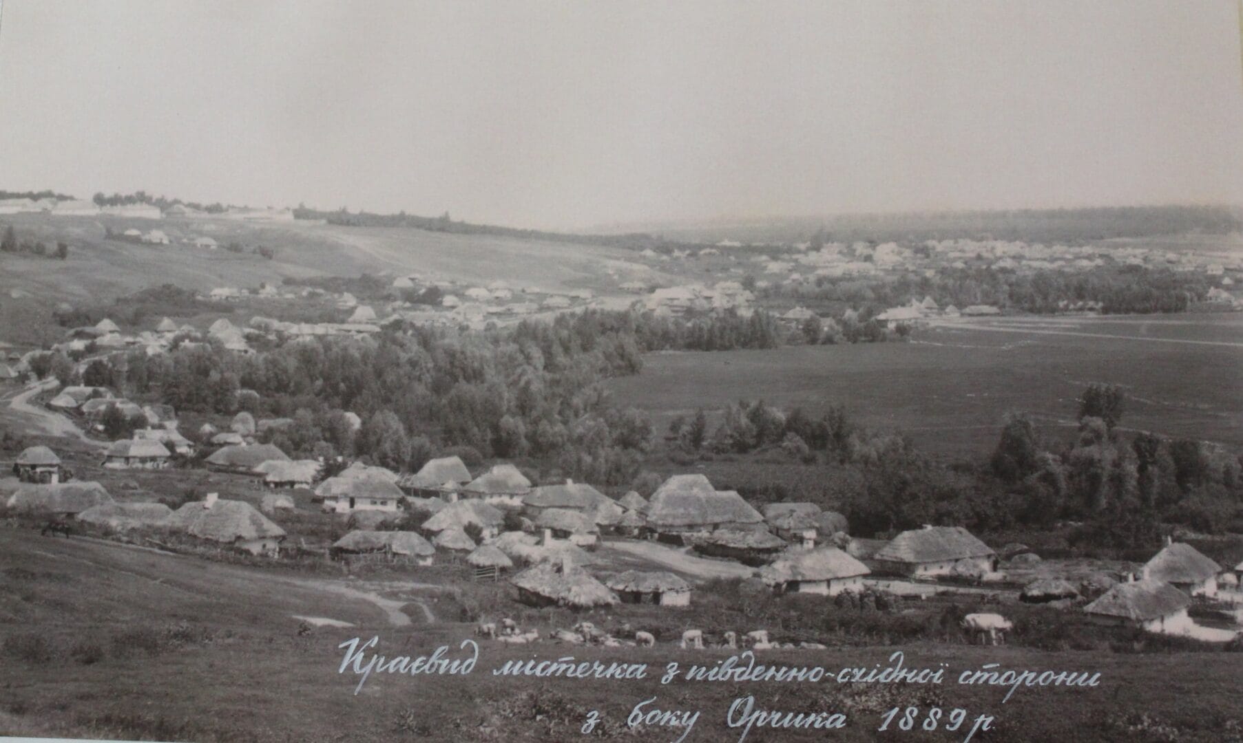 A panorama of the town of Karlivka in 1889