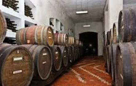  Wine cellars of the institute