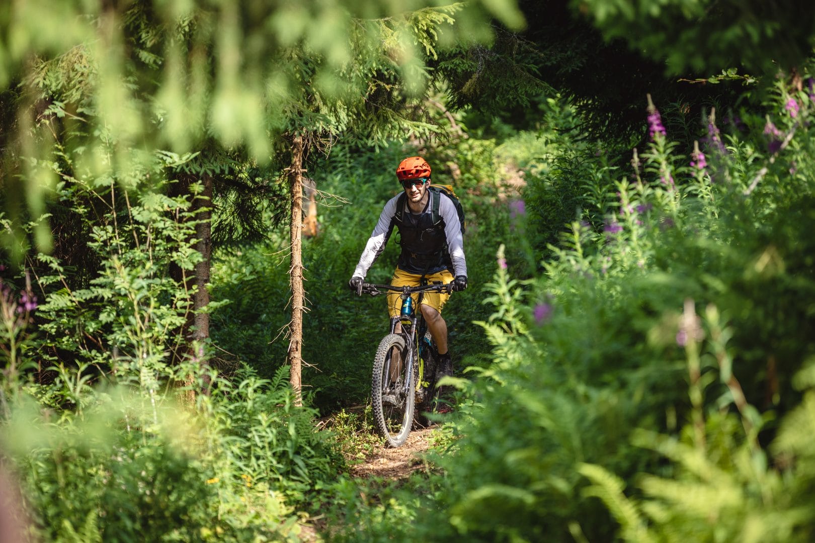 Rope Lift on Mount Trostyan and Bike Park on Mount Pohar