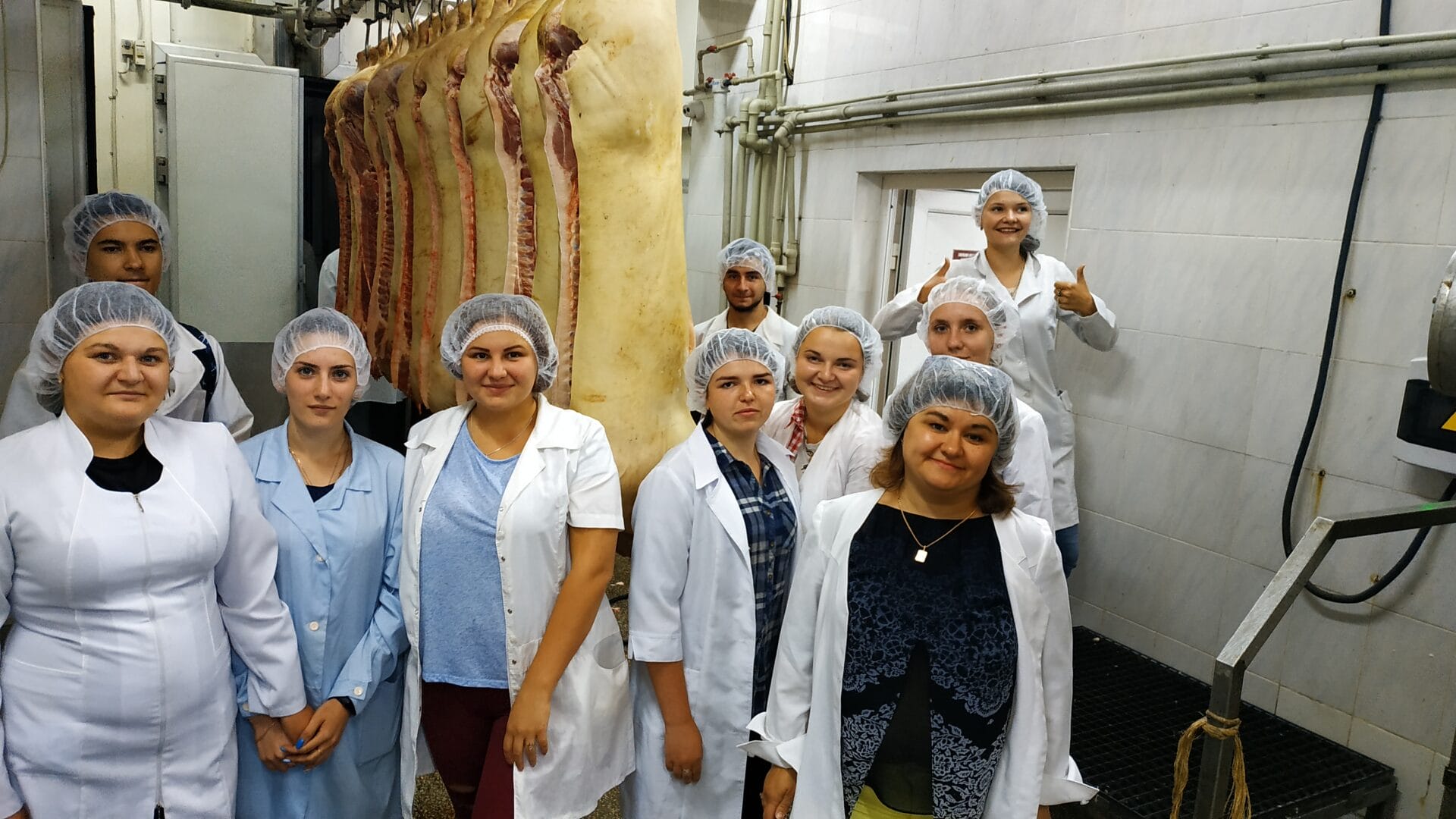 Meat processing plant of Dokuchaevski Chornozemy