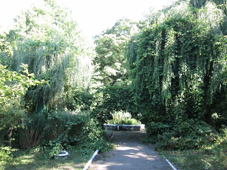 Forest Song arboretum