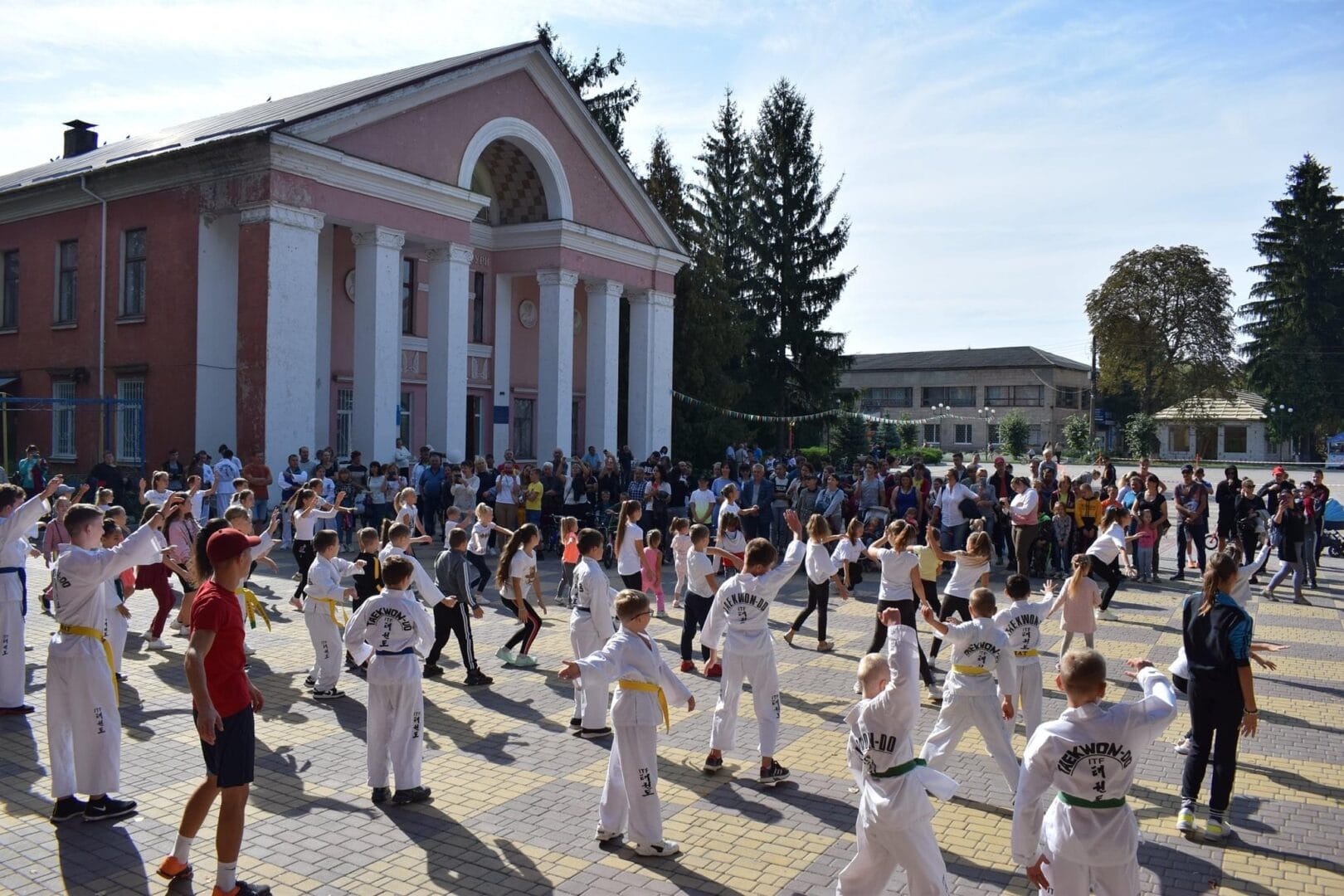 Taekwondo practitioners of the Community