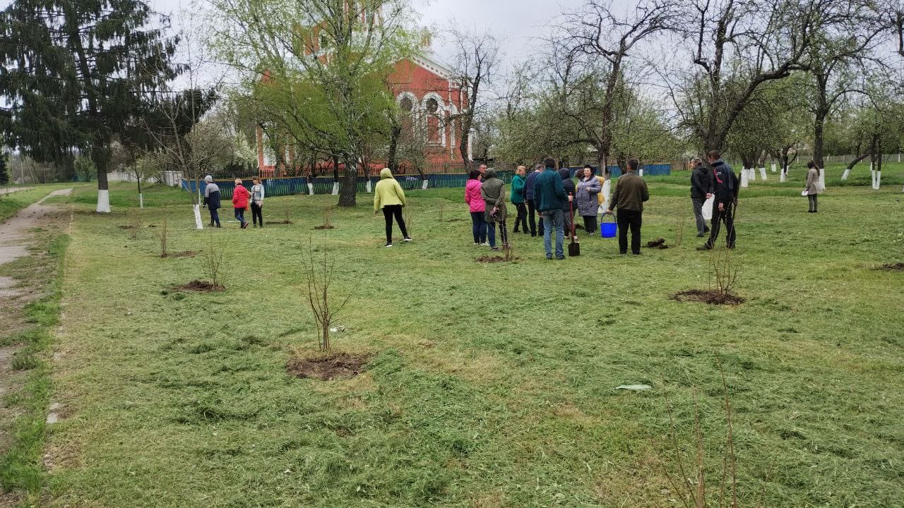 Planting trees in the village of Medvedivka 