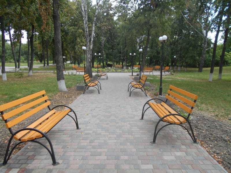 Arrangement of the park