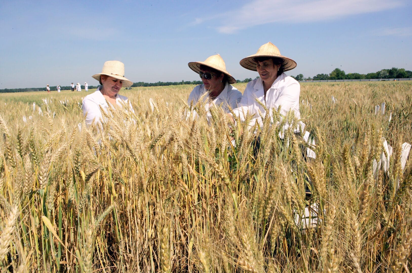 Employees of the Zherebkivske farm during field research