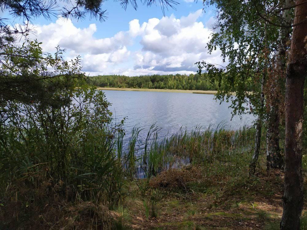Zasvitske Lake