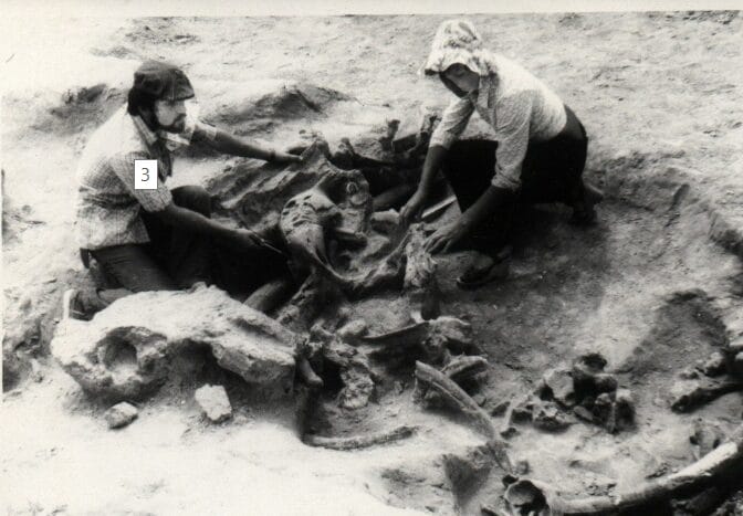 Excavation at the Molodove site