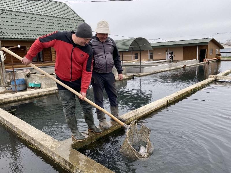 Trout farming enterprise which provides fresh trout to the entire area and neighboring regions. Currently, it is one of the best, if not the best, farms engaged in breeding fish.