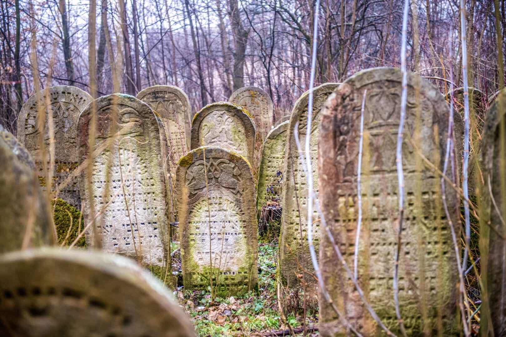 Jewish cemetery in the Community