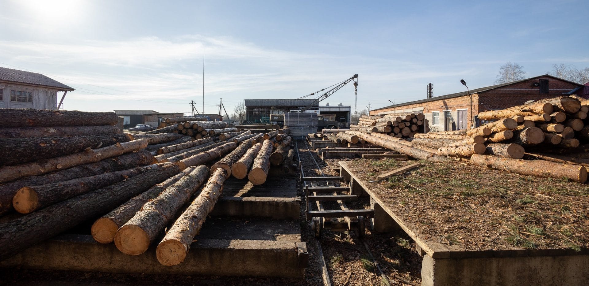 Wood stockpiling at the communal company “Koryukivkalis”, November 2023, photo by DOBRE program