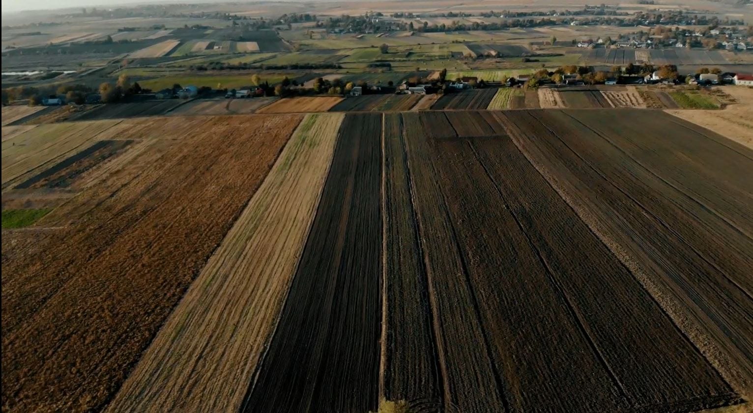 Agricultural lands of the Pryvilne community