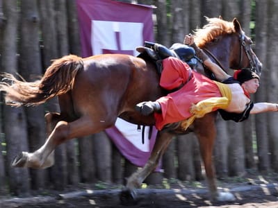 Luhansk Cossack Equestrian Theatre