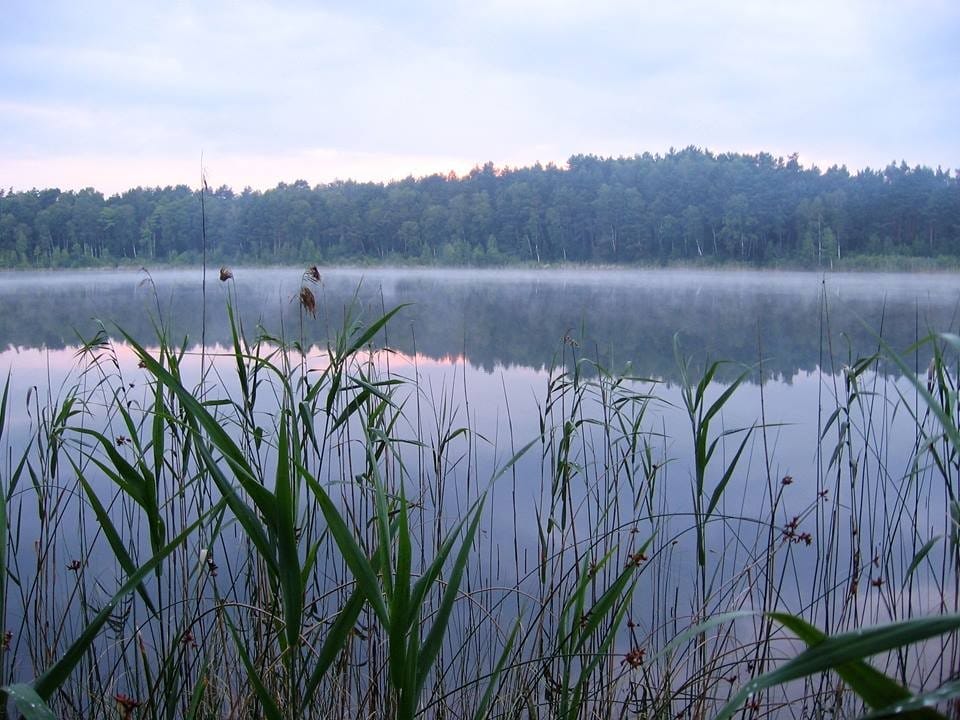 Bolotne lake in the Turiysk community