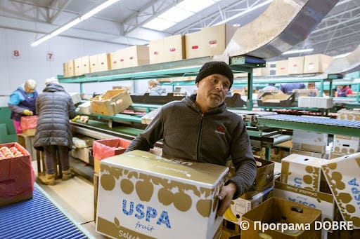 Modern sorting line of the Agromarket logistics hub