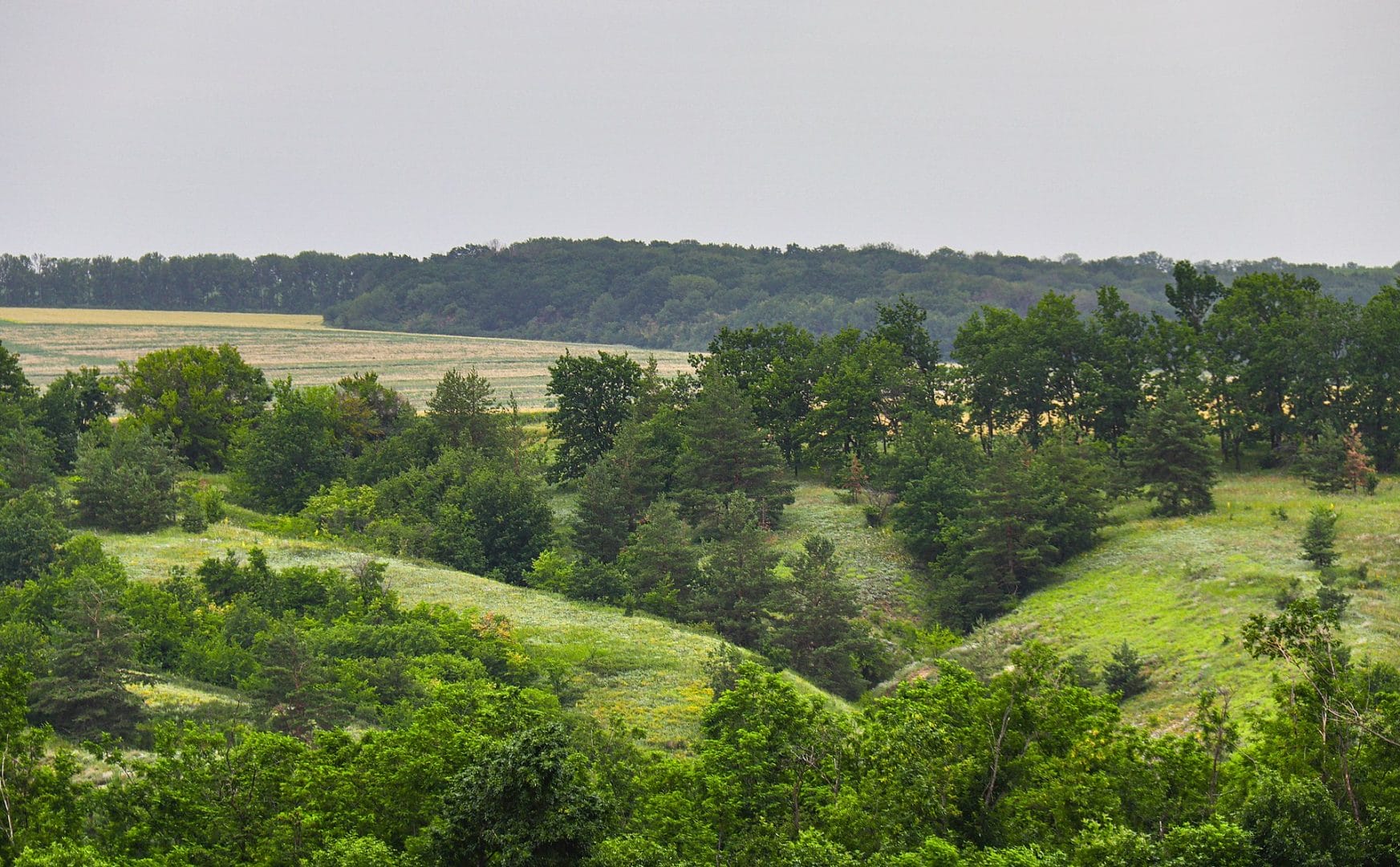 Shyroke Reserve