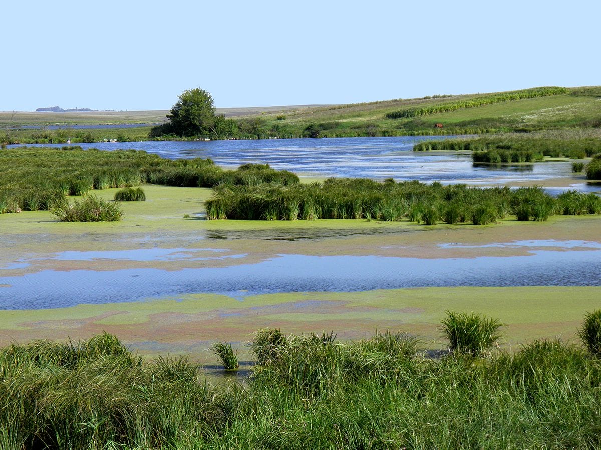 Chornohuzivsky hydrological reserves