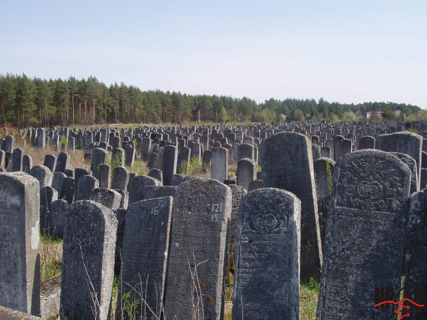 Jewish cemetery in Brody