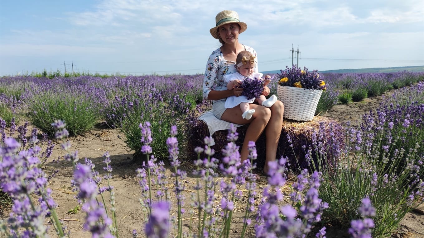 A lavender field in the village of Shyshkivtsi of the Stavchany community