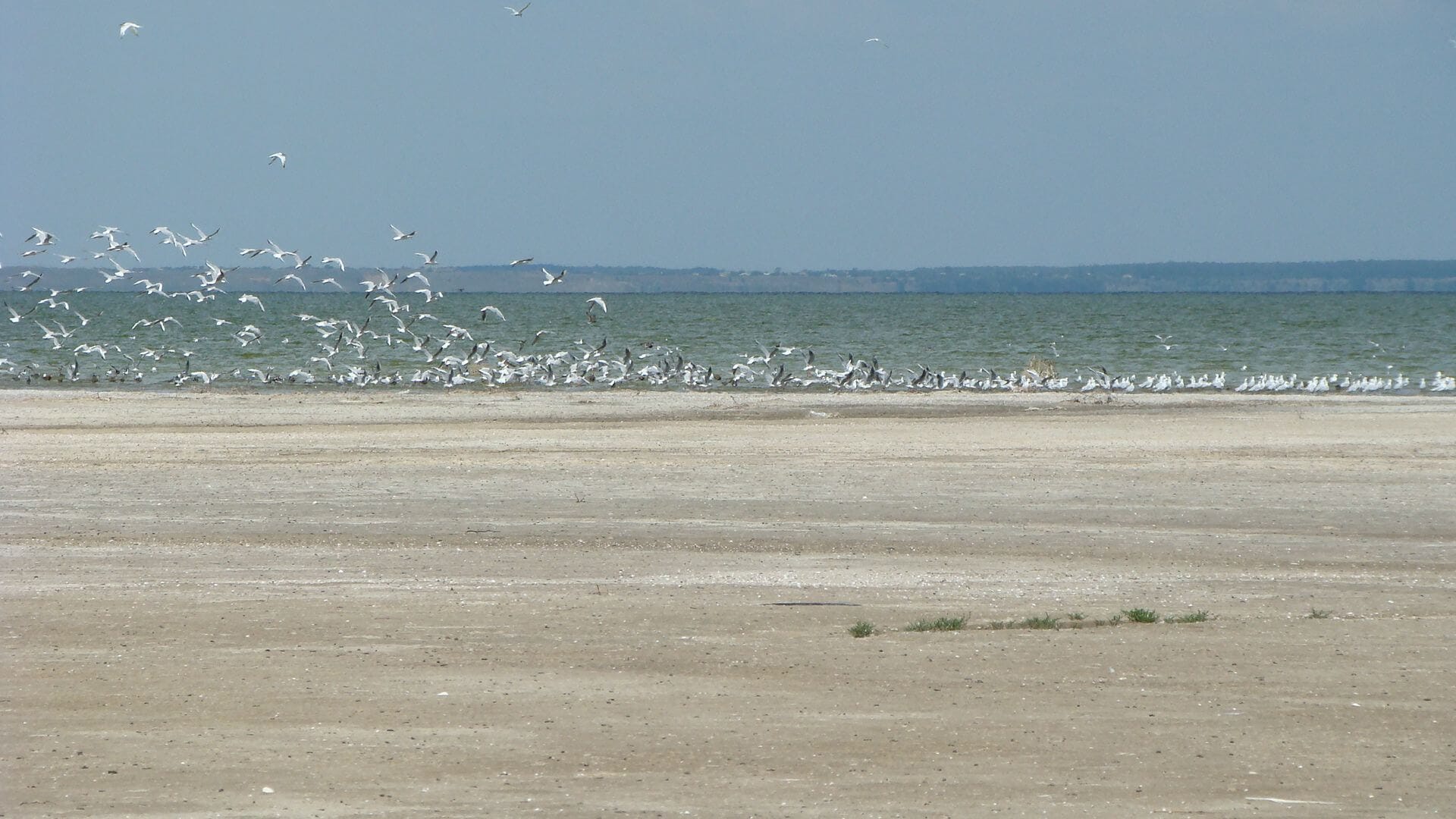 Stepanivka Spit near Molochnyi Lyman.