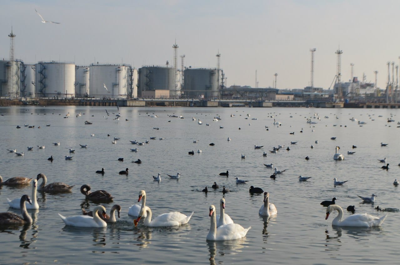 Chornomorsk fuel terminal