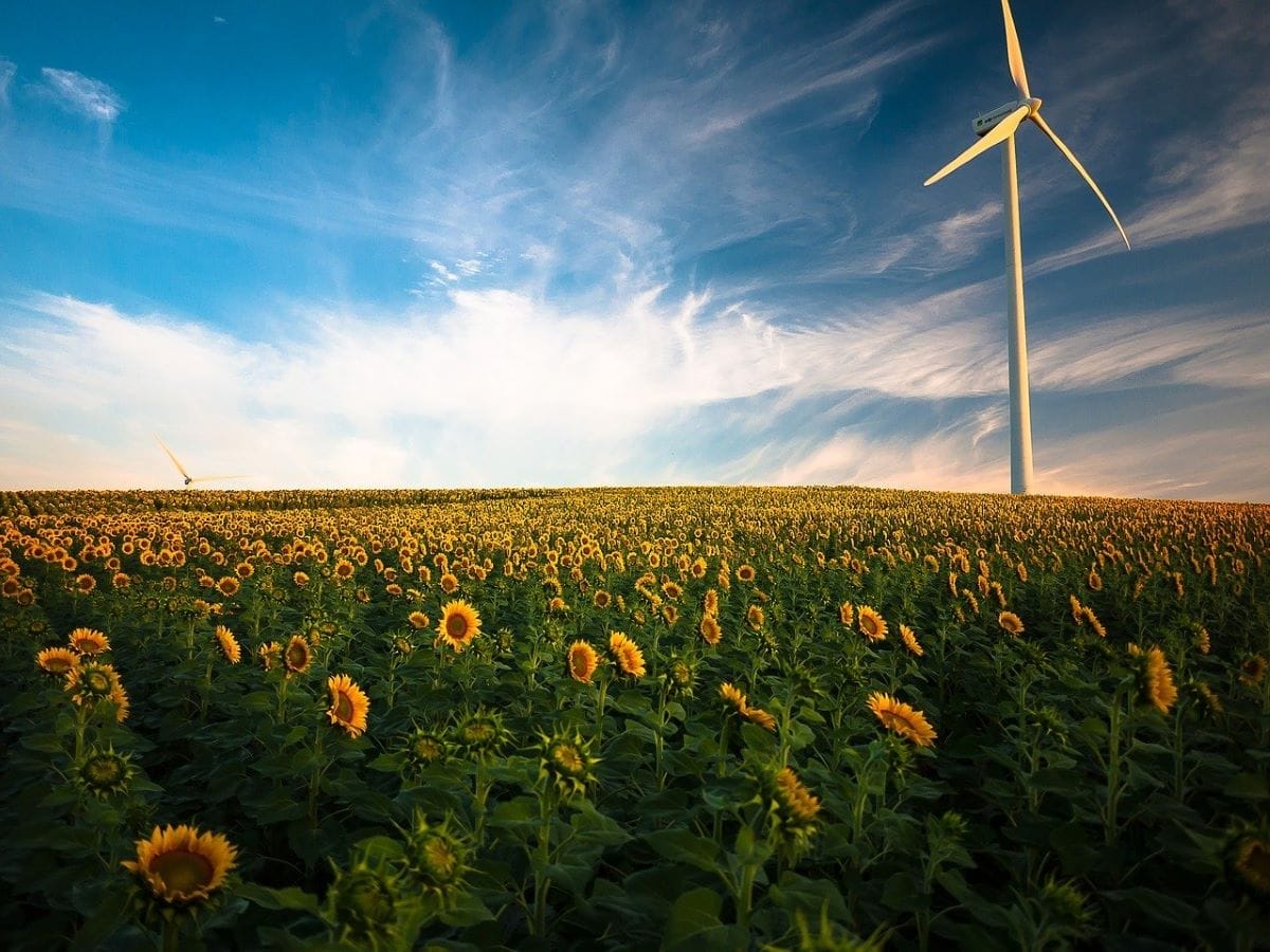 Syvash Wind Power Plant