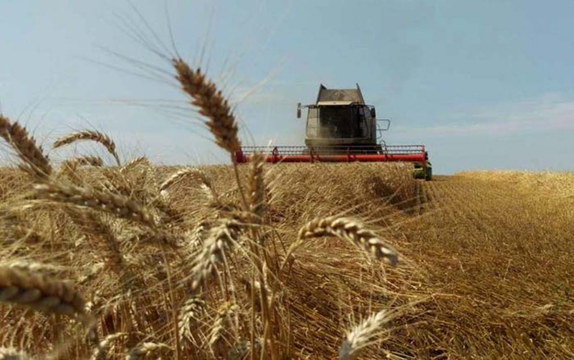 Harvesting in the community