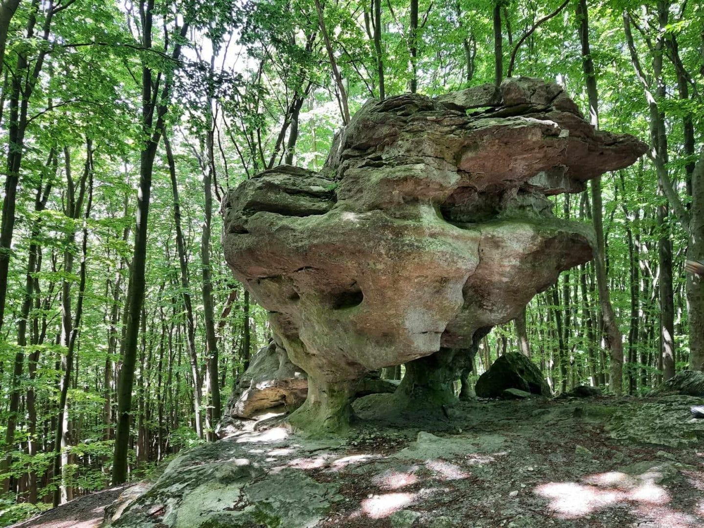 Trynih Rock on the territory of the Brody Community, Northern Podillia Park