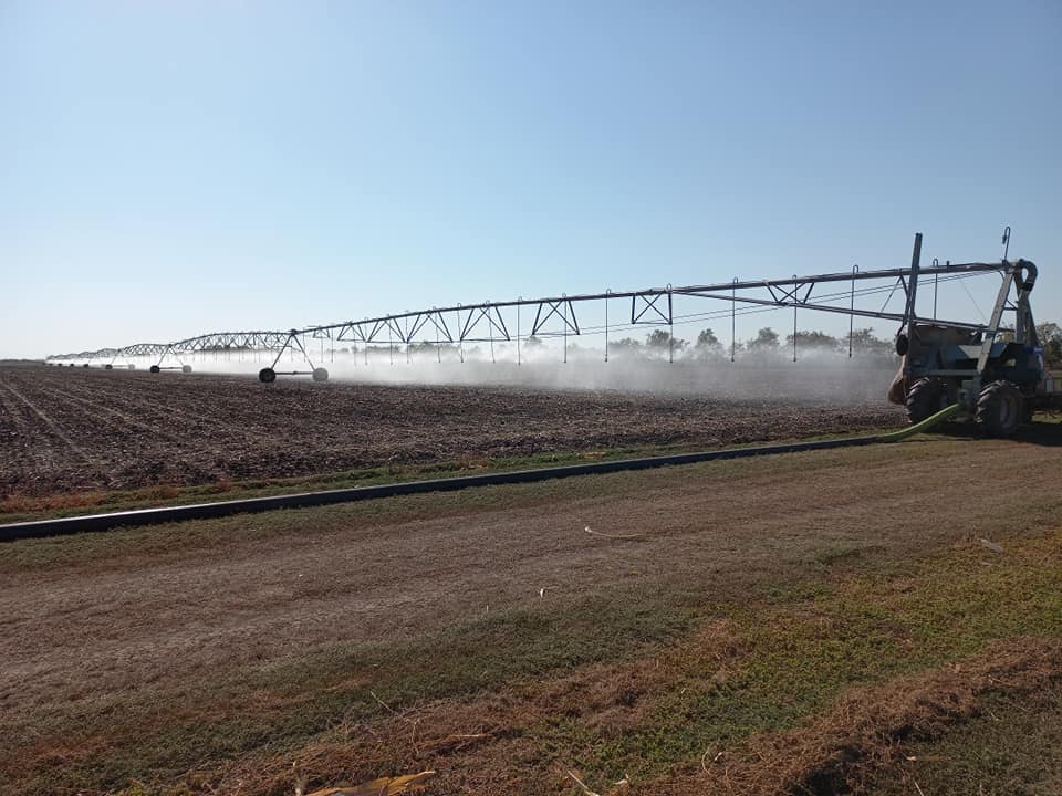 Irrigation fields of the Tavrychanka community