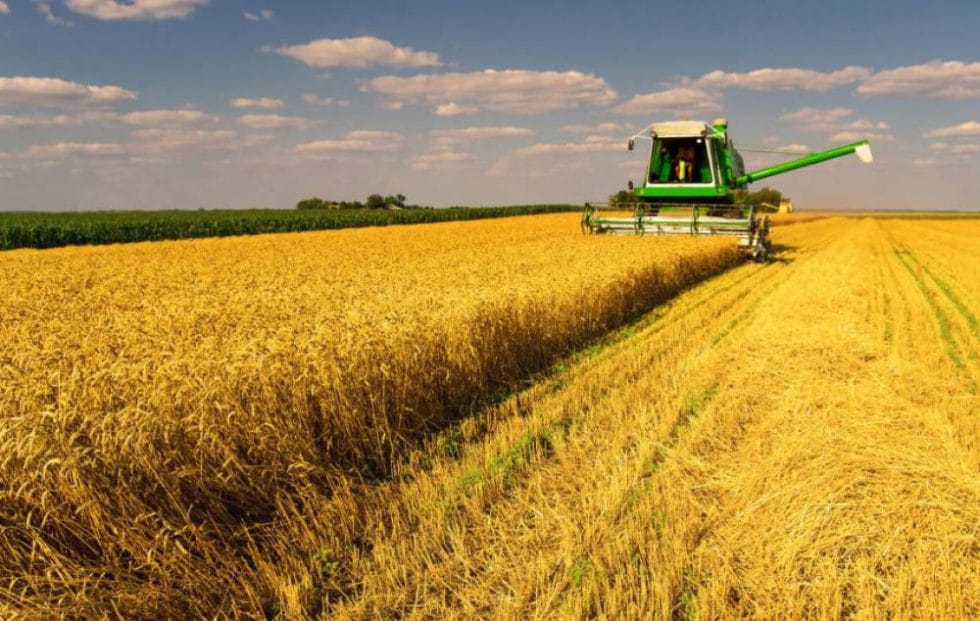 Harvesting by the private enterprise “Lan”, the village of Sopych of the Esman community