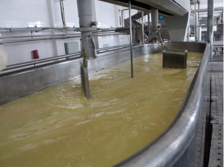 Production of Chaplynka cheeses