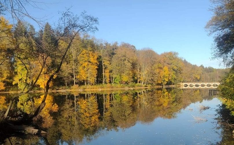 Synytsia Park