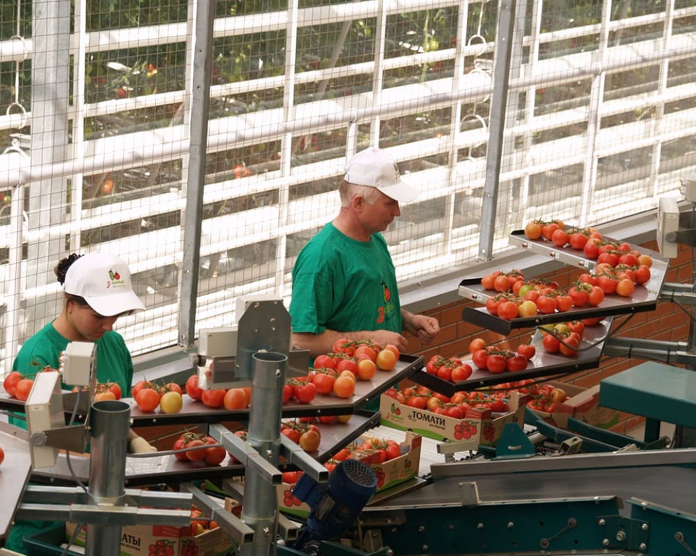 4th branch of the Uman Greenhouse Plant