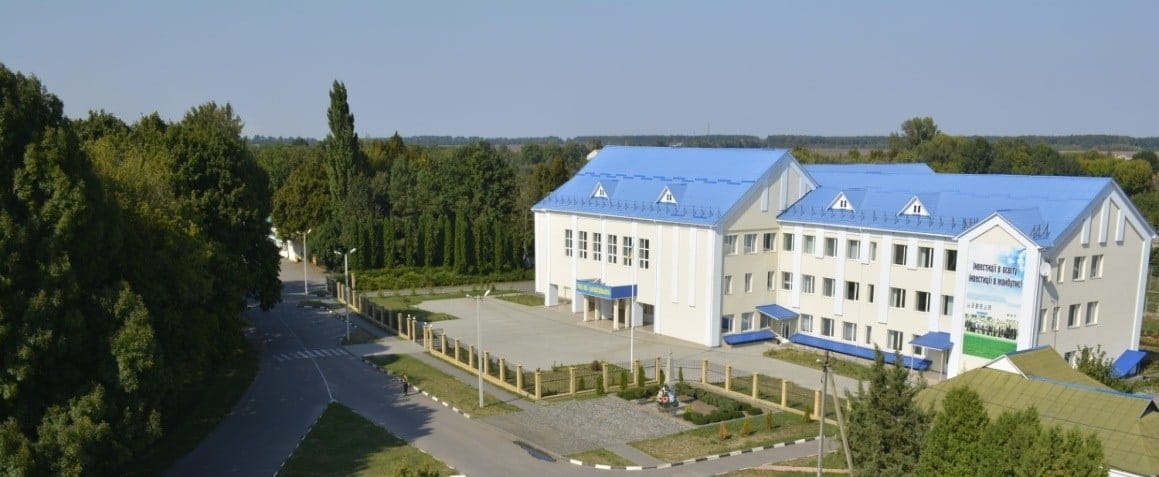 Rodnykivka Lyceum from above