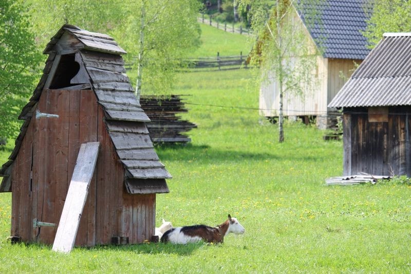 The premises of the Sheep Breeding Museum