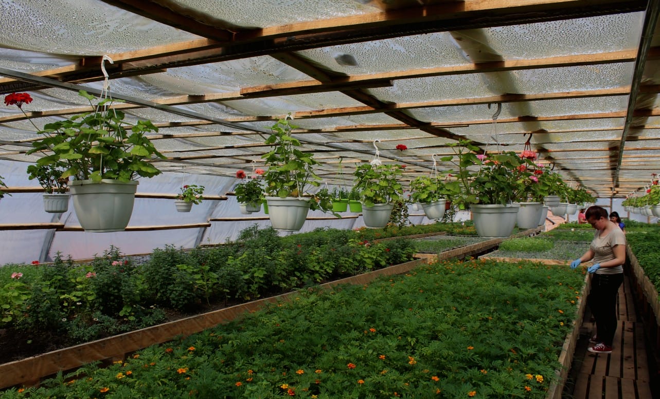 Greenhouse of the communal enterprise 