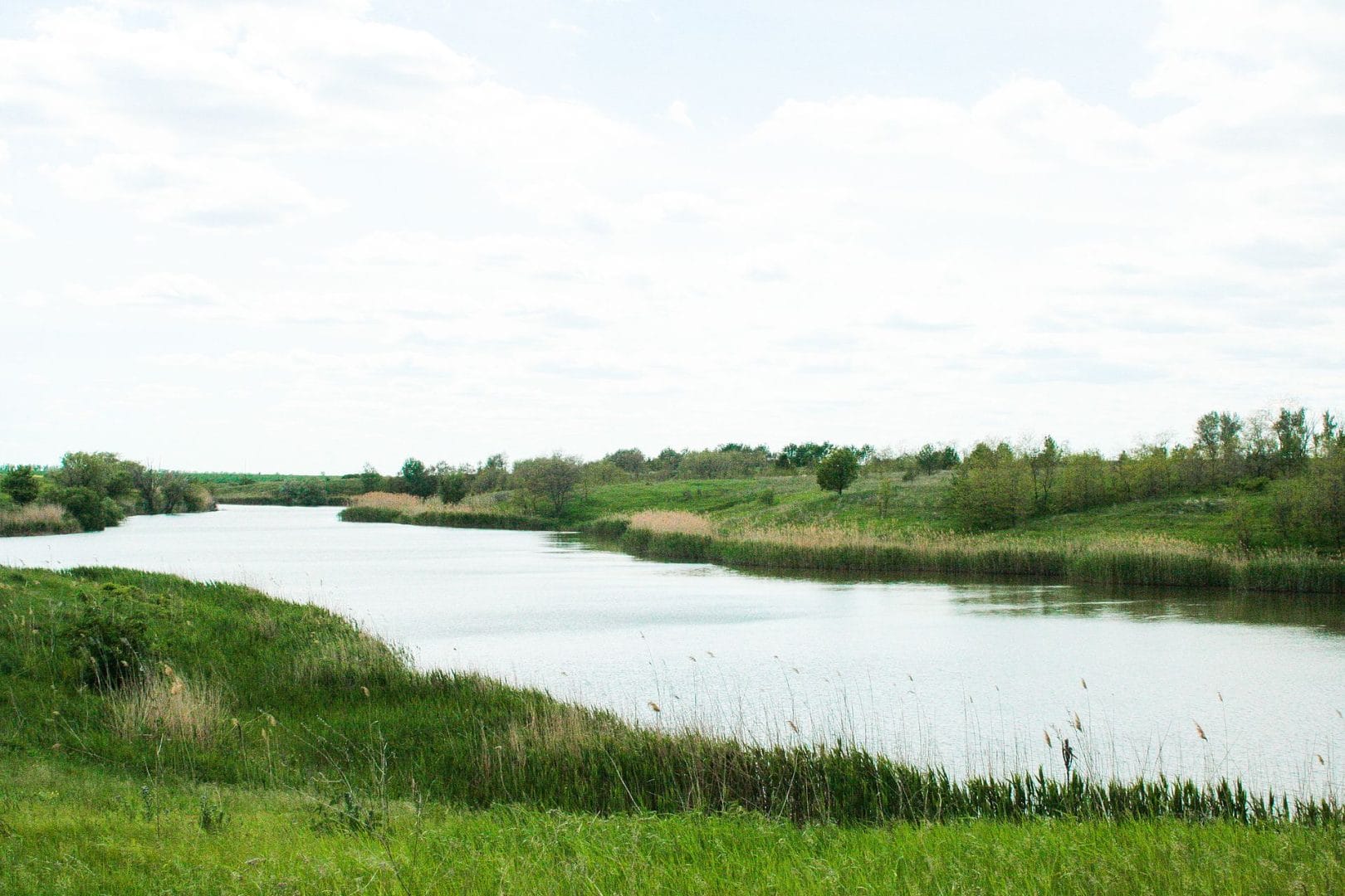 Studenok, an entomological reserve of local importance