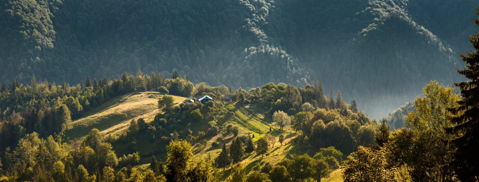 Vyzhnytsia National Nature Park