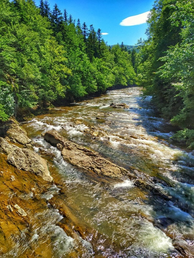 The Chechva River