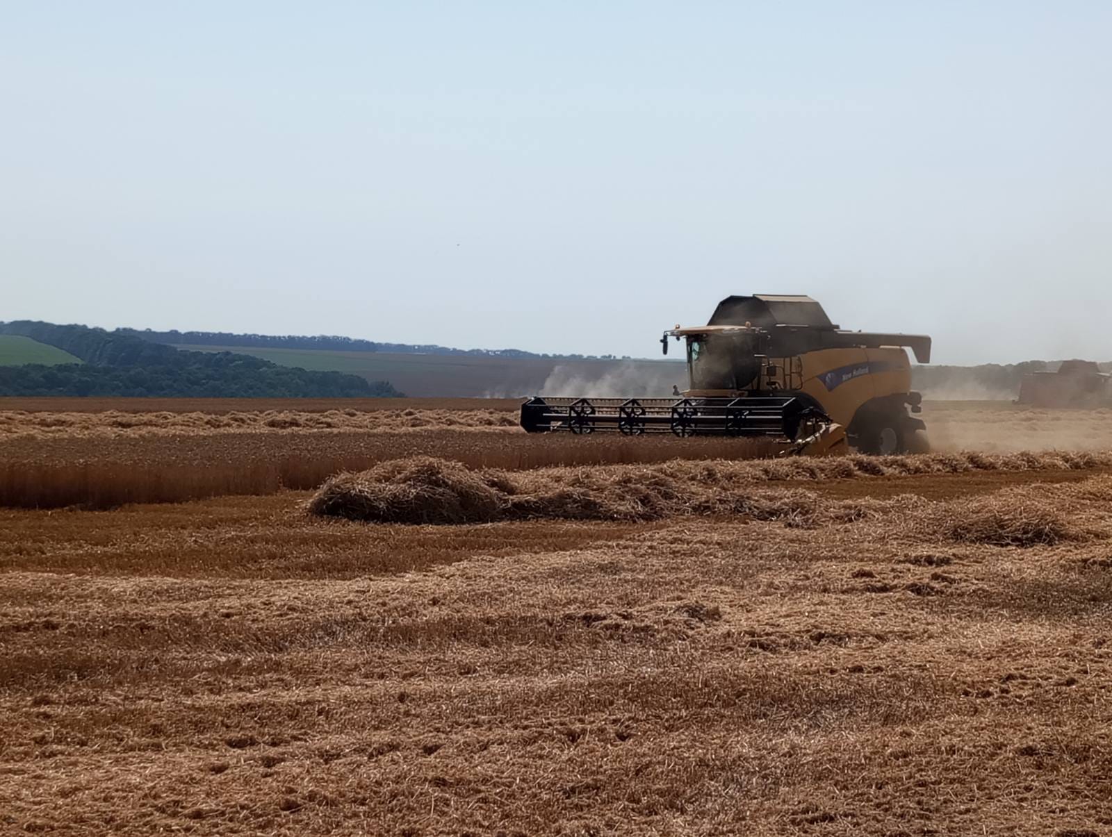 Harvesting in the Tomashpil community, 2024