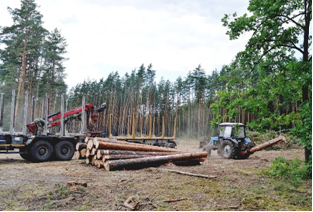 State-Owned Company “Novhorod-Siverskyi Forestry”, a branch of the State-Owned Company “Forests of Ukraine”