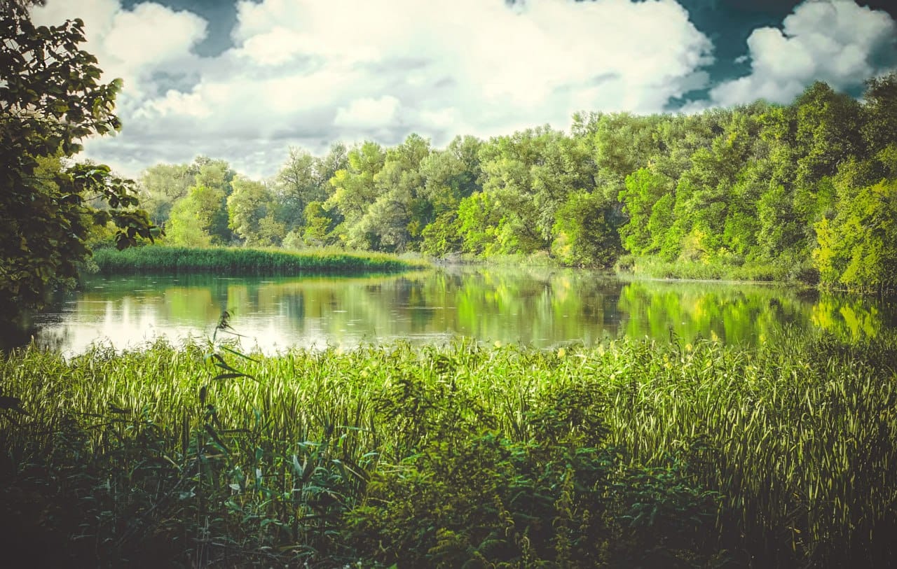 Dnipro floodplains 