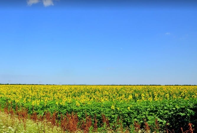 Agricultural lands in the community