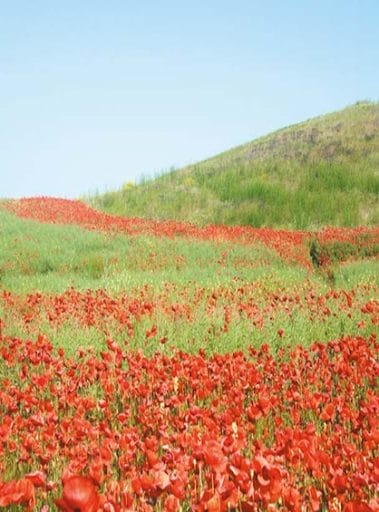 Scythian mound in Artsyz