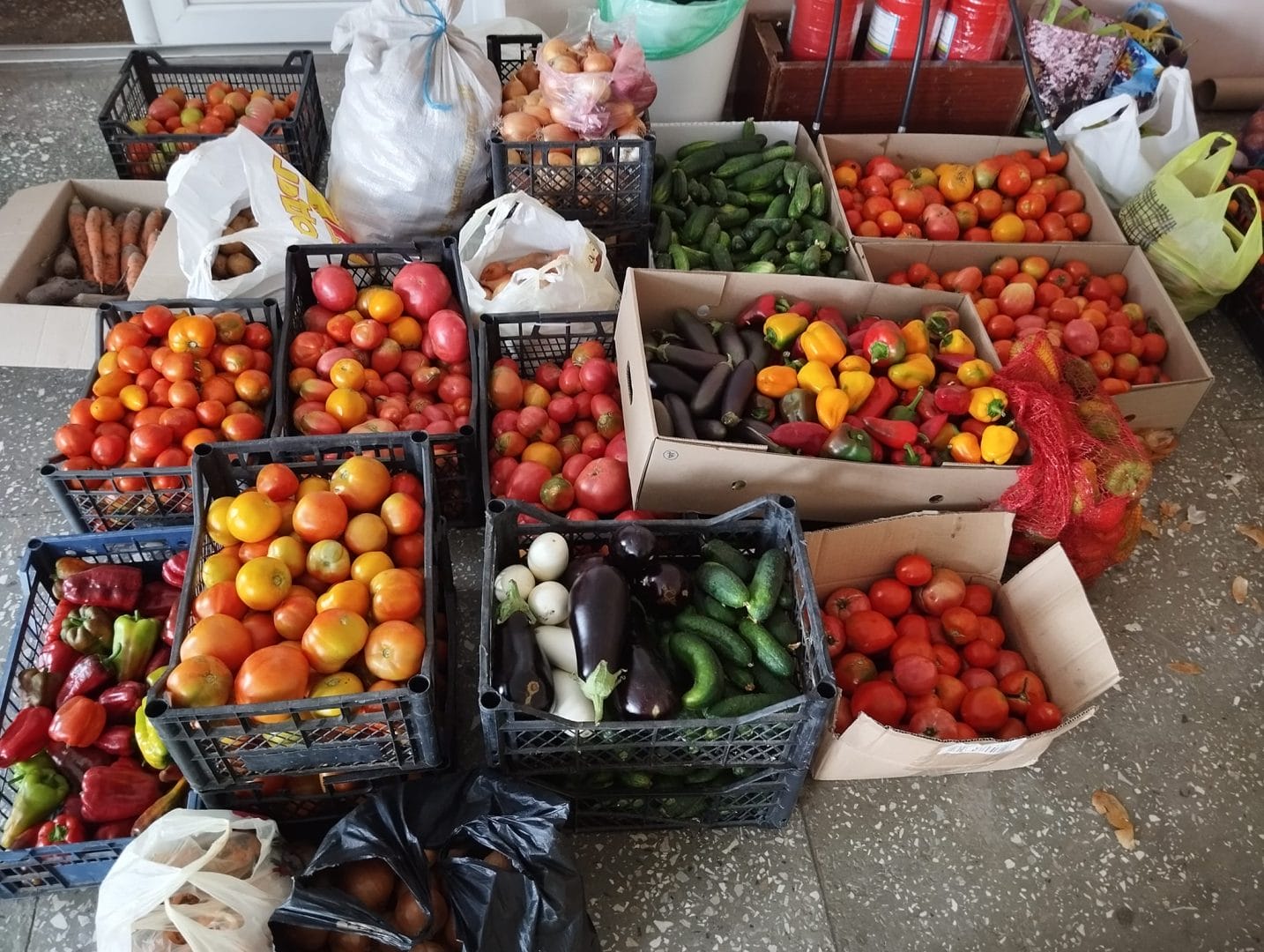 Harvesting vegetables for the military