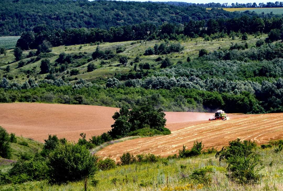 Agricultural lands in the community