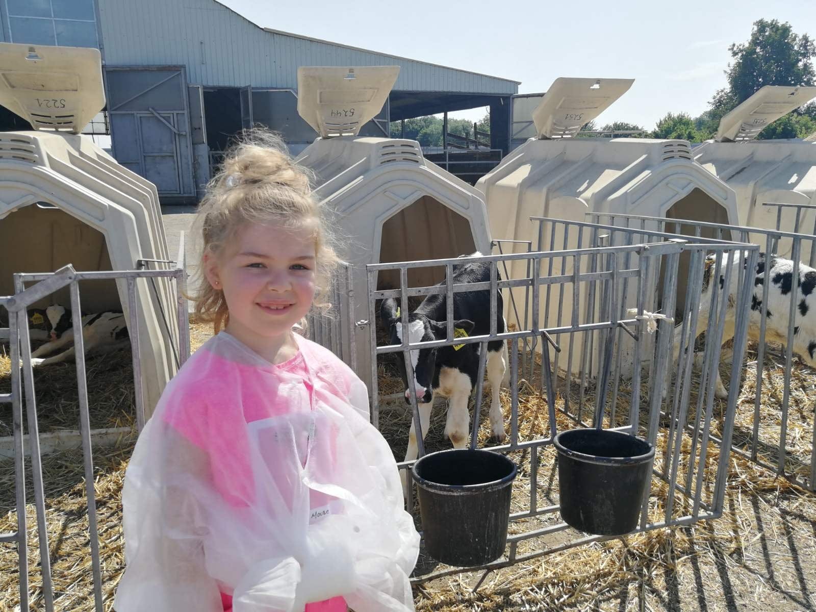 Popularization of A2 milk from the O'BEREG craft cheese factory